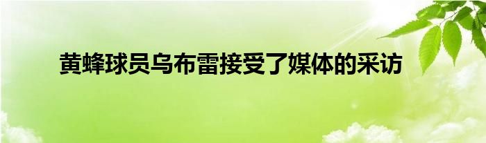 黃蜂球員烏布雷接受了媒體的采訪