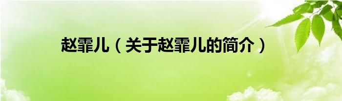 趙霏兒（關(guān)于趙霏兒的簡(jiǎn)介）