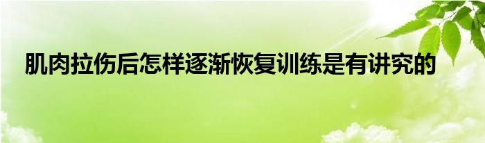 肌肉拉傷后怎樣逐漸恢復(fù)訓練是有講究的