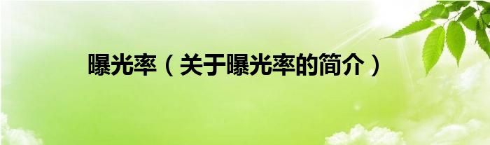 曝光率（關(guān)于曝光率的簡(jiǎn)介）