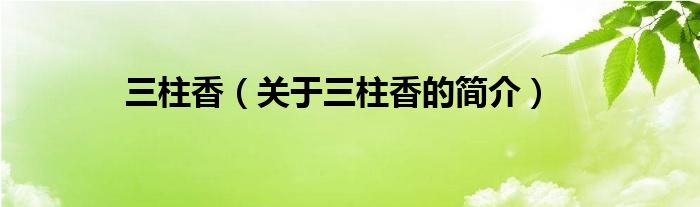 三柱香（關(guān)于三柱香的簡介）