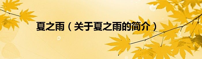 夏之雨（關(guān)于夏之雨的簡(jiǎn)介）