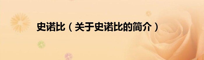 史諾比（關(guān)于史諾比的簡介）