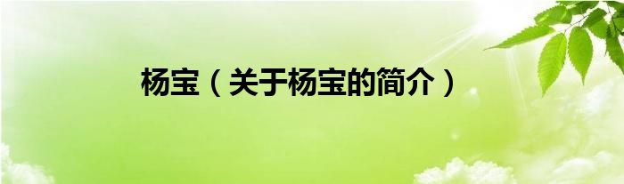 楊寶（關(guān)于楊寶的簡(jiǎn)介）