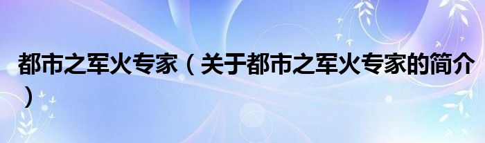 都市之軍火專家（關(guān)于都市之軍火專家的簡介）