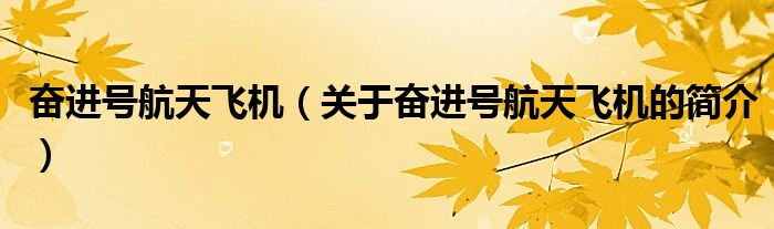 奮進(jìn)號航天飛機(jī)（關(guān)于奮進(jìn)號航天飛機(jī)的簡介）