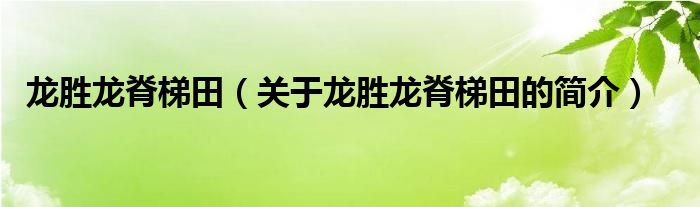 龍勝龍脊梯田（關(guān)于龍勝龍脊梯田的簡(jiǎn)介）