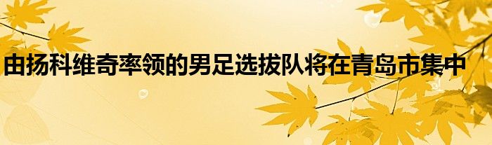 由揚科維奇率領(lǐng)的男足選拔隊將在青島市集中