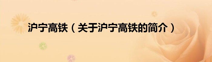 滬寧高鐵（關(guān)于滬寧高鐵的簡(jiǎn)介）