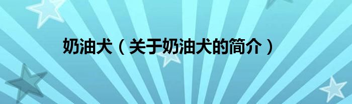 奶油犬（關(guān)于奶油犬的簡(jiǎn)介）