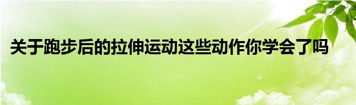 關于跑步后的拉伸運動這些動作你學會了嗎