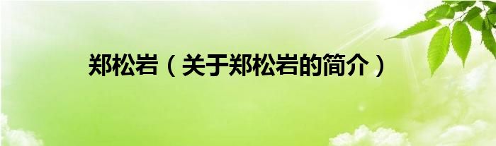 鄭松巖（關(guān)于鄭松巖的簡(jiǎn)介）