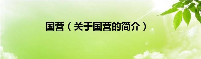 國(guó)營(yíng)（關(guān)于國(guó)營(yíng)的簡(jiǎn)介）