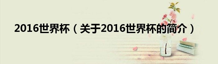 2016世界杯（關(guān)于2016世界杯的簡(jiǎn)介）