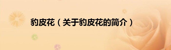 豹皮花（關(guān)于豹皮花的簡(jiǎn)介）