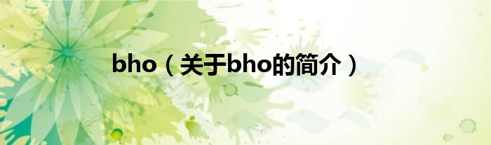 bho（關于bho的簡介）