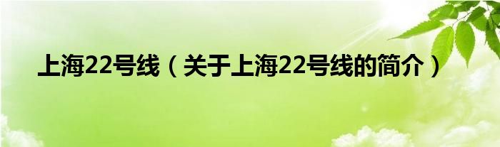 上海22號線（關(guān)于上海22號線的簡介）