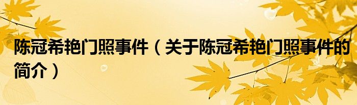 陳冠希艷門照事件（關于陳冠希艷門照事件的簡介）