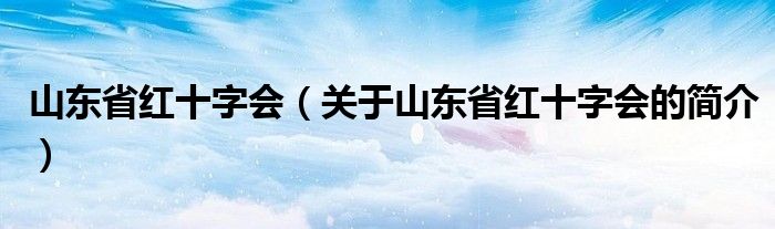 山東省紅十字會(huì)（關(guān)于山東省紅十字會(huì)的簡介）