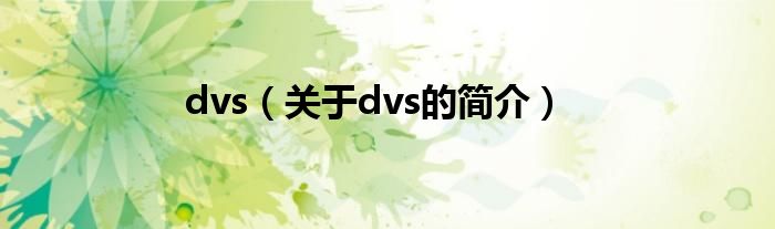 dvs（關(guān)于dvs的簡(jiǎn)介）