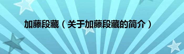 加藤段藏（關(guān)于加藤段藏的簡(jiǎn)介）