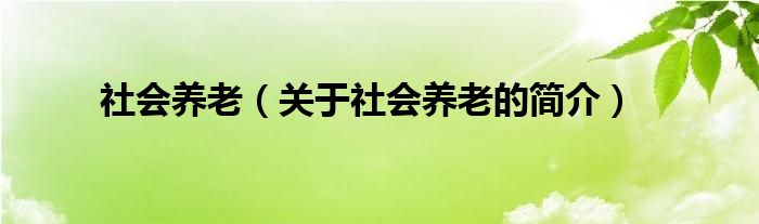 社會養(yǎng)老（關(guān)于社會養(yǎng)老的簡介）