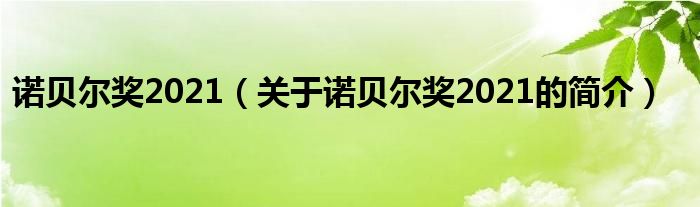 諾貝爾獎2021（關(guān)于諾貝爾獎2021的簡介）