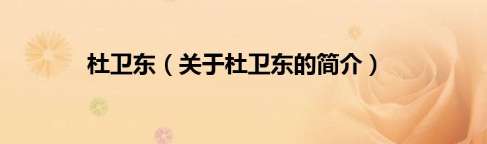 杜衛(wèi)東（關(guān)于杜衛(wèi)東的簡(jiǎn)介）