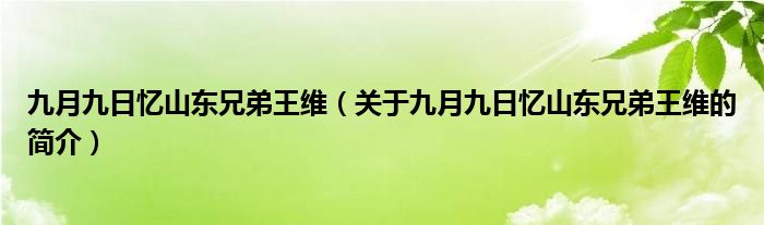 九月九日憶山東兄弟王維（關(guān)于九月九日憶山東兄弟王維的簡(jiǎn)介）