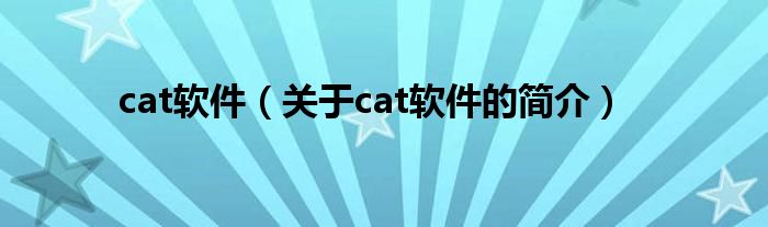 cat軟件（關(guān)于cat軟件的簡介）