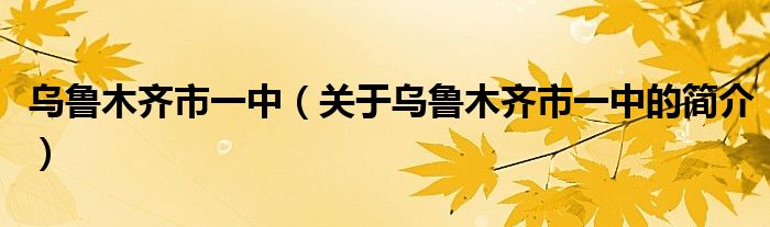 烏魯木齊市一中（關(guān)于烏魯木齊市一中的簡介）