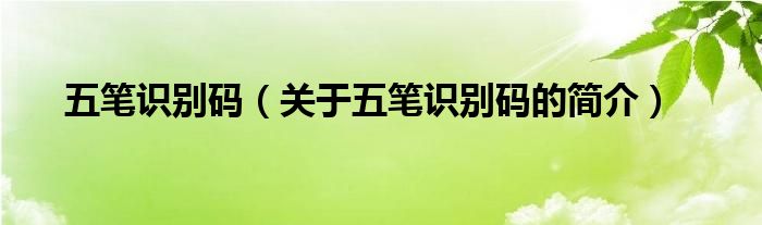 五筆識別碼（關(guān)于五筆識別碼的簡介）