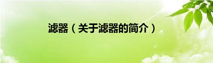 濾器（關(guān)于濾器的簡(jiǎn)介）