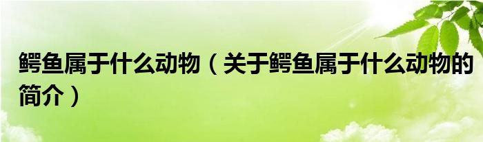 鱷魚(yú)屬于什么動(dòng)物（關(guān)于鱷魚(yú)屬于什么動(dòng)物的簡(jiǎn)介）