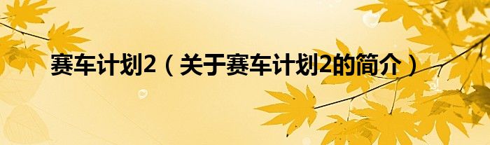 賽車計劃2（關(guān)于賽車計劃2的簡介）