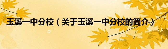 玉溪一中分校（關(guān)于玉溪一中分校的簡(jiǎn)介）