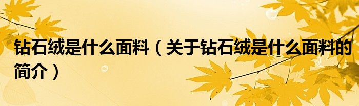 鉆石絨是什么面料（關(guān)于鉆石絨是什么面料的簡介）