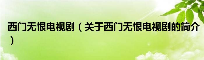 西門無恨電視?。P(guān)于西門無恨電視劇的簡(jiǎn)介）