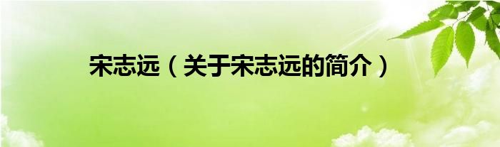 宋志遠(yuǎn)（關(guān)于宋志遠(yuǎn)的簡介）