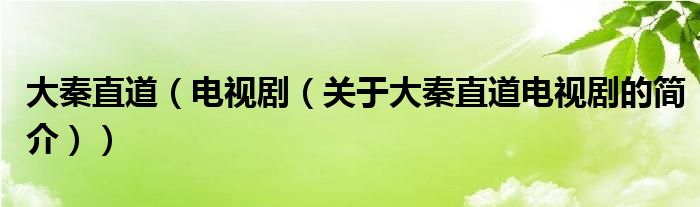 大秦直道（電視?。P(guān)于大秦直道電視劇的簡介））