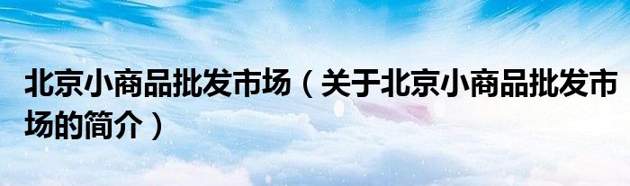 北京小商品批發(fā)市場（關(guān)于北京小商品批發(fā)市場的簡介）