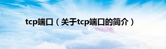 tcp端口（關(guān)于tcp端口的簡(jiǎn)介）