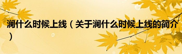 瀾什么時(shí)候上線（關(guān)于瀾什么時(shí)候上線的簡介）