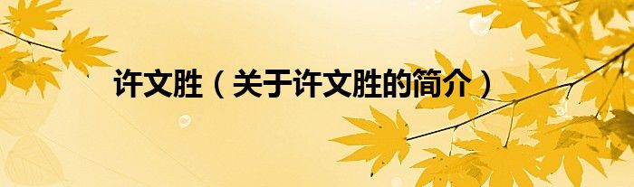 許文勝（關(guān)于許文勝的簡(jiǎn)介）