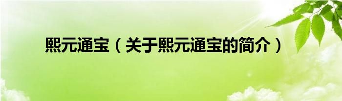 熙元通寶（關(guān)于熙元通寶的簡介）