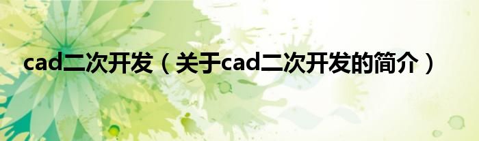 cad二次開發(fā)（關于cad二次開發(fā)的簡介）