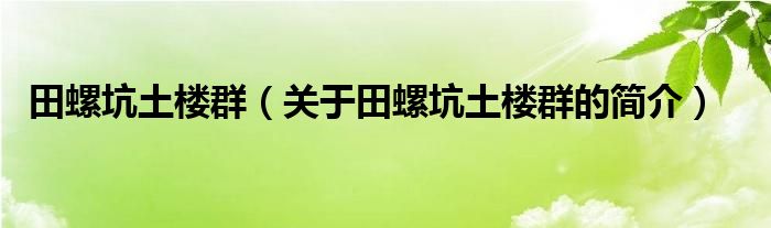 田螺坑土樓群（關(guān)于田螺坑土樓群的簡介）