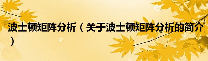 波士頓矩陣分析（關(guān)于波士頓矩陣分析的簡介）