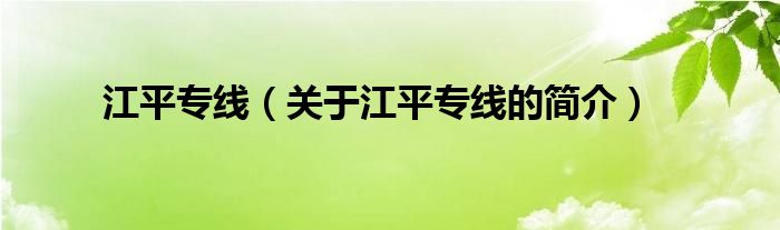 江平專線（關(guān)于江平專線的簡介）