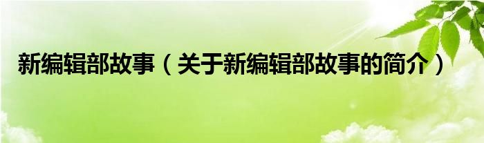 新編輯部故事（關(guān)于新編輯部故事的簡介）